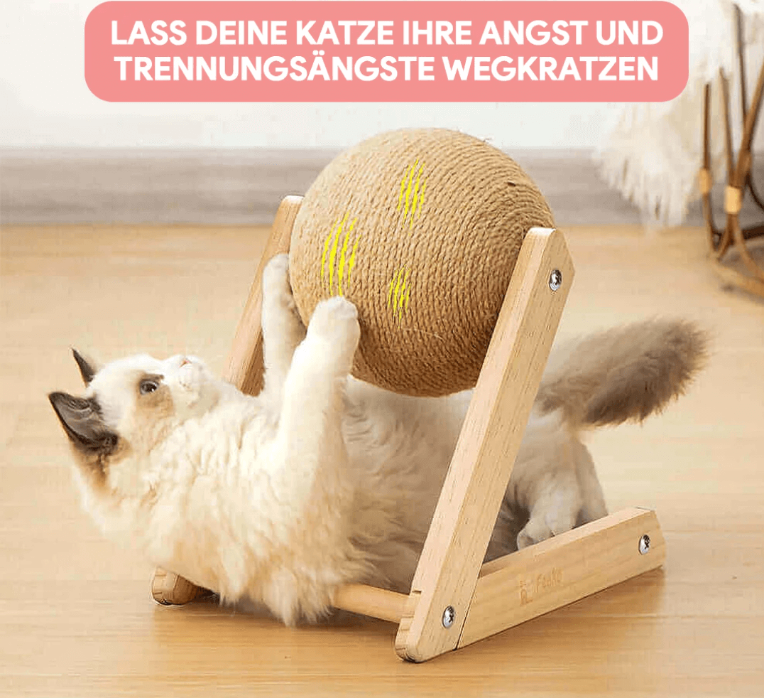 Katzenspielzeug Kratzbaum - Spielspaß &amp; Krallenpflege