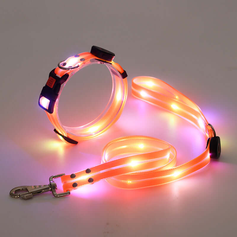LED Hundehalsband mit Leine - Sicher &amp; Sichtbar