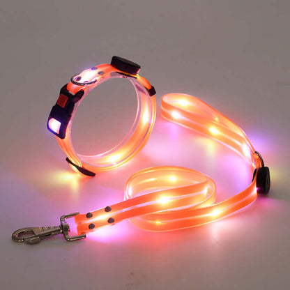 LED Hundehalsband mit Leine - Sicher &amp; Sichtbar