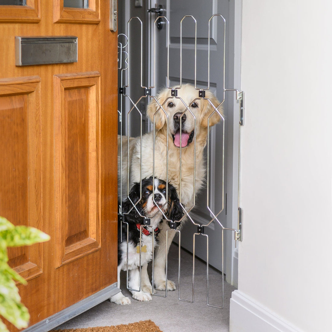 Hundegitter für Wohnung | Hundeschutzgitter Tür | Für Große &amp; Kleine Hunde | TierTor