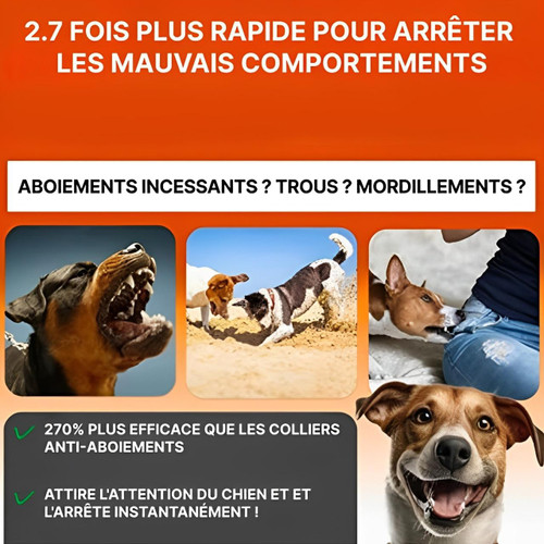 Ultraschall Anti-Bellgerät für Hunde