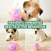 Neue Sprungaktivierungsball für Hunde