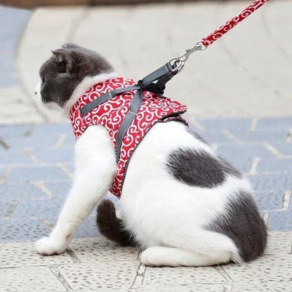 Katzengeschirr für Freigänger | Sicher &amp; Bequem