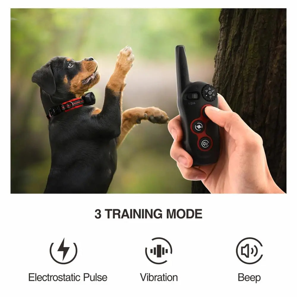 2 in 1 Hundetraining Halsband &amp; Anti-Bell Halsband