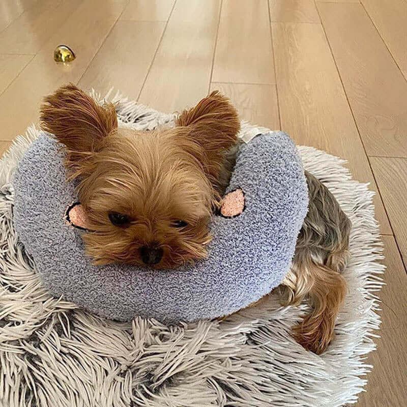 Kuscheliges Hundekissen für Ruhe &amp; Komfort
