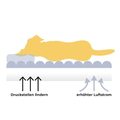 Orthopädisches Hundebett XXL mit hoher Rückenlehne