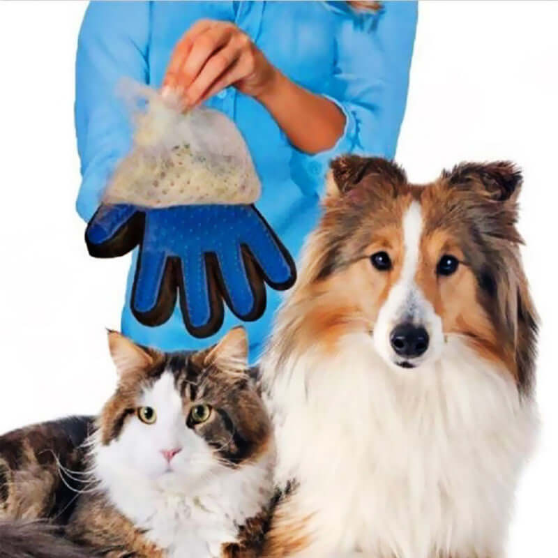 Tierhaarentfernung Handschuh - Hunde &amp; Katzen