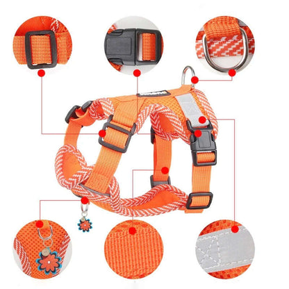 Reflektierendes Hundegeschirr &amp; Leine Set