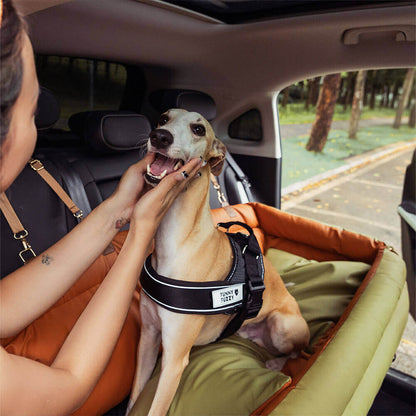 Hundeautositz aus Kunstleder - Sicherheit &amp; Stil | Urban Voyager