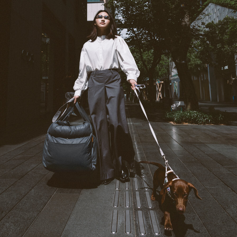 Hundeautositz aus Kunstleder - Sicherheit &amp; Stil | Urban Voyager