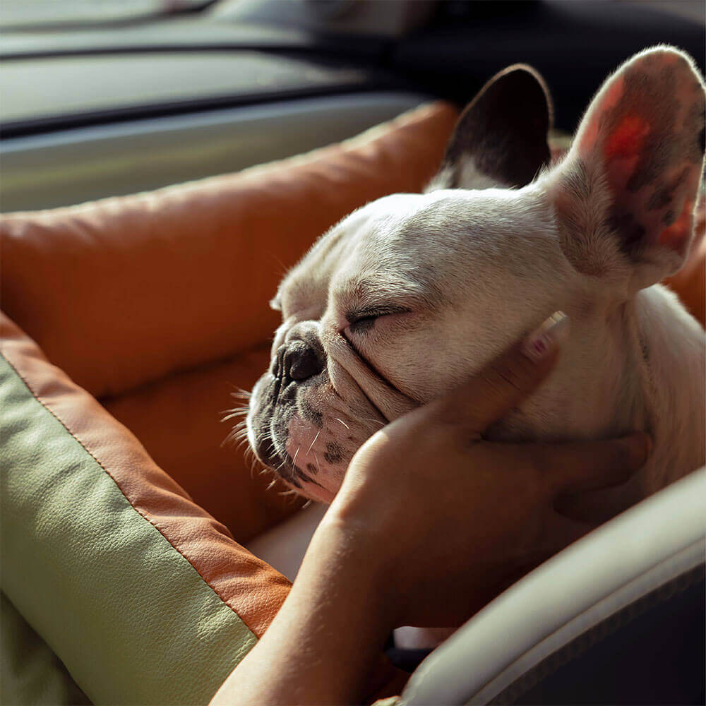 Hundeautositz aus Kunstleder - Sicherheit &amp; Stil | Urban Voyager