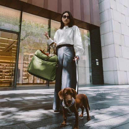 Hundeautositz aus Kunstleder - Sicherheit &amp; Stil | Urban Voyager