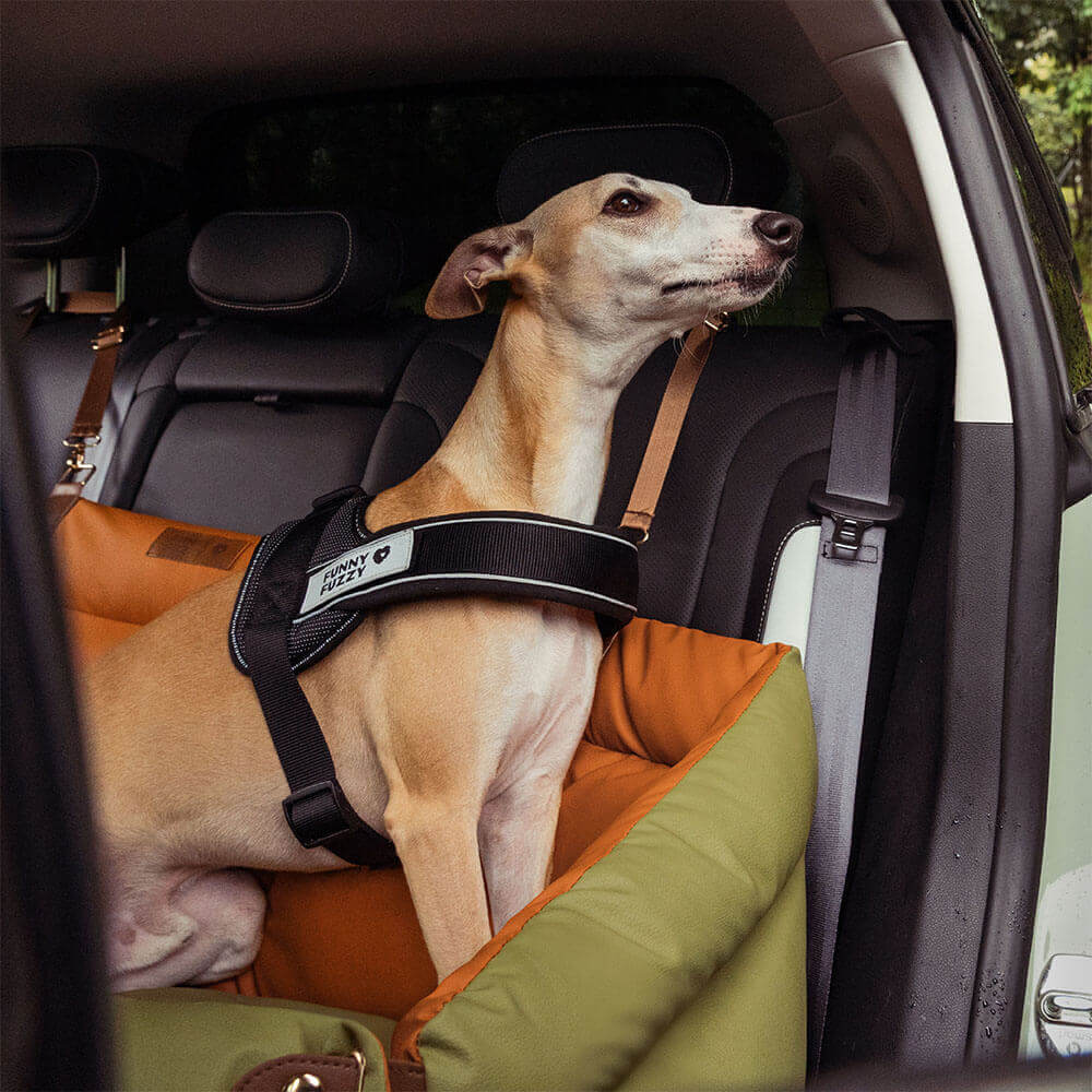Hundeautositz aus Kunstleder - Sicherheit &amp; Stil | Urban Voyager