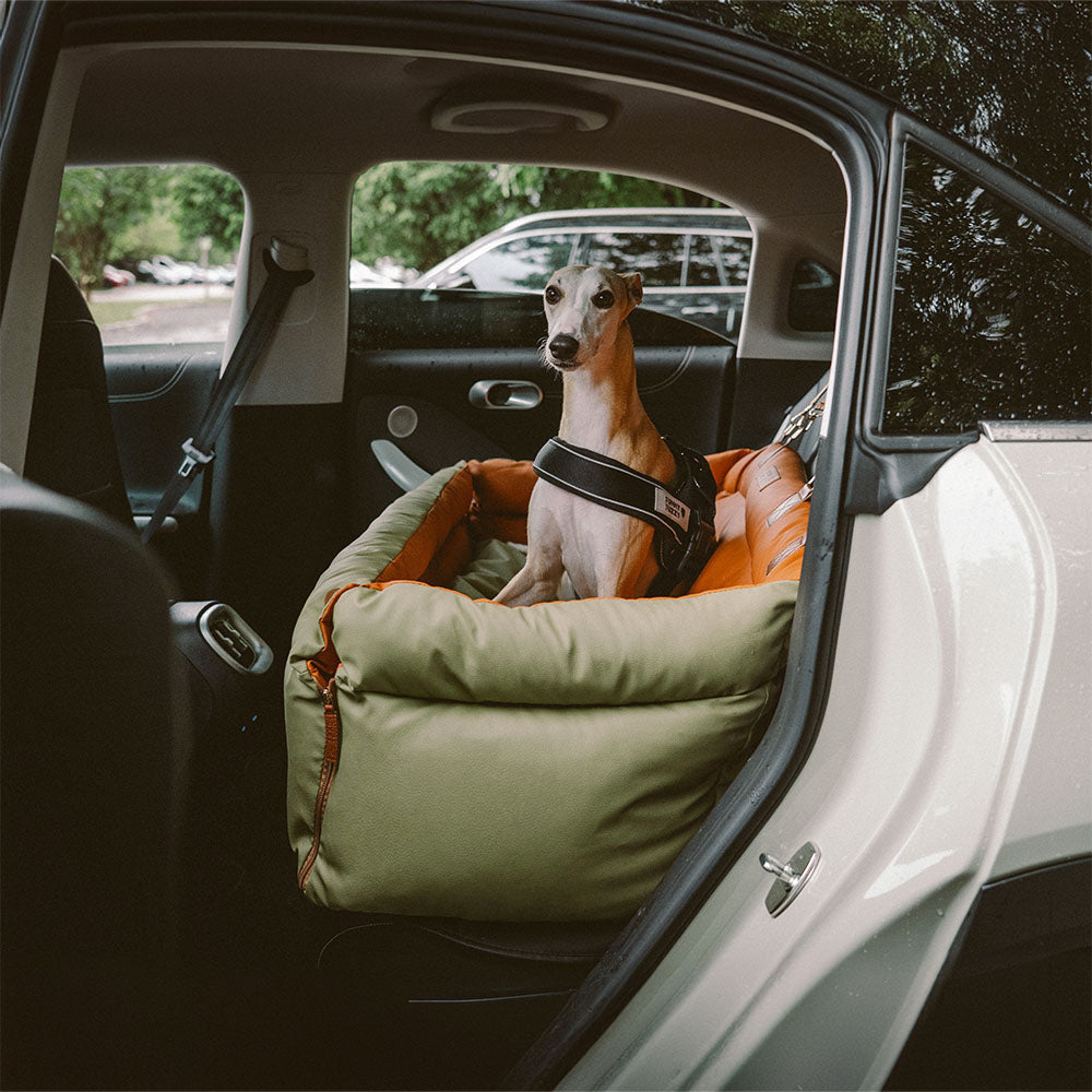 Hundeautositz aus Kunstleder - Sicherheit &amp; Stil | Urban Voyager