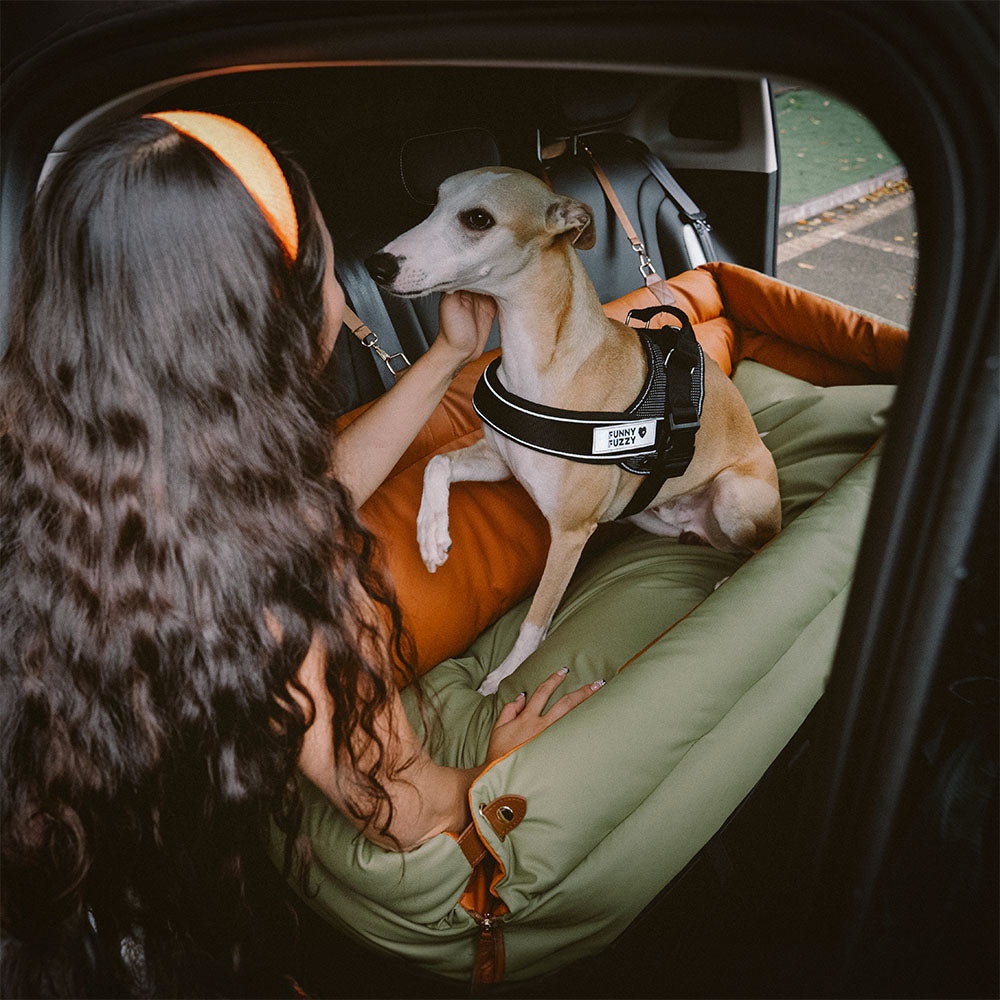 Hundeautositz aus Kunstleder - Sicherheit &amp; Stil | Urban Voyager
