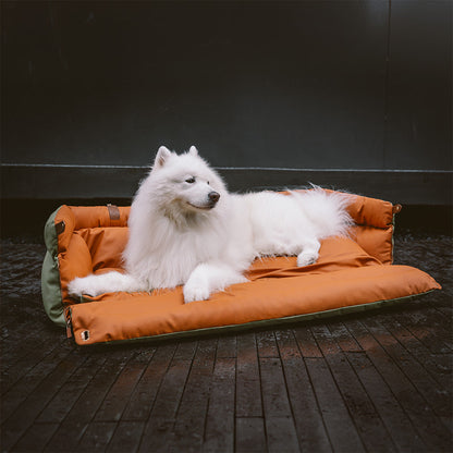 Hundeautositz aus Kunstleder - Sicherheit &amp; Stil | Urban Voyager
