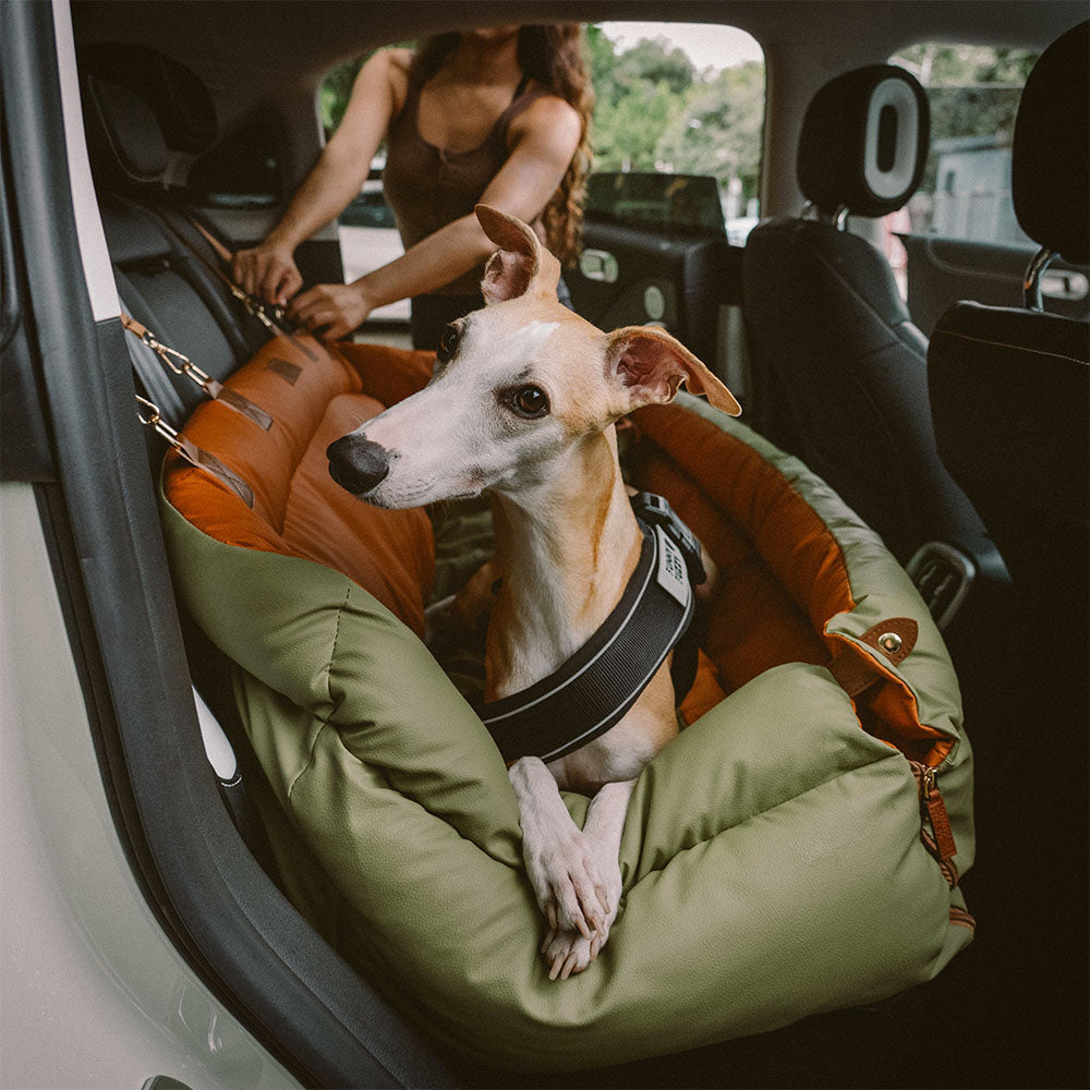 Hundeautositz aus Kunstleder - Sicherheit &amp; Stil | Urban Voyager