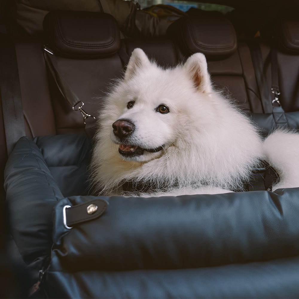 Hundeautositz aus Kunstleder - Sicherheit &amp; Stil | Urban Voyager