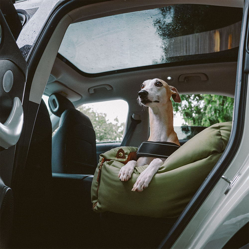 Hundeautositz aus Kunstleder - Sicherheit &amp; Stil | Urban Voyager