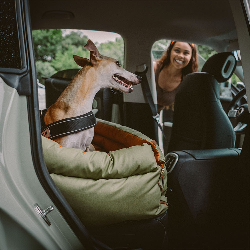 Hundeautositz aus Kunstleder - Sicherheit &amp; Stil | Urban Voyager