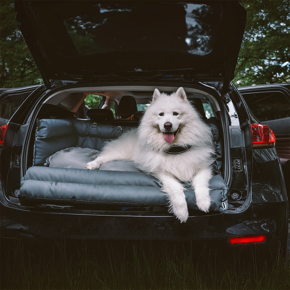Hundeautositz aus Kunstleder - Sicherheit &amp; Stil | Urban Voyager