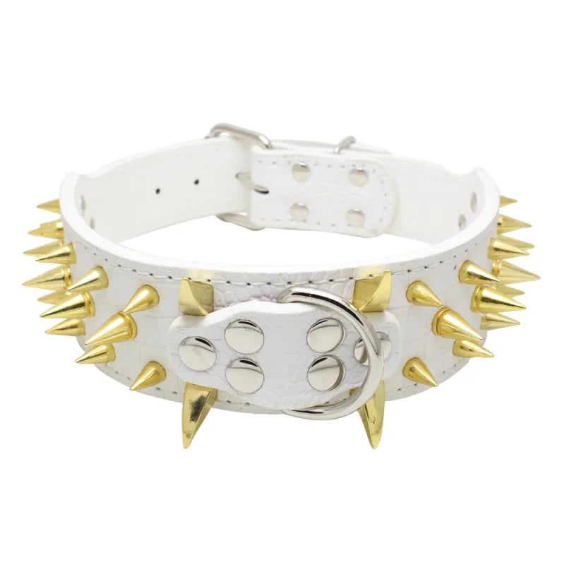 Robustes Hundehalsband mit Goldnieten – Verstellbar &amp; Stark