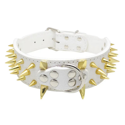 Robustes Hundehalsband mit Goldnieten – Verstellbar &amp; Stark