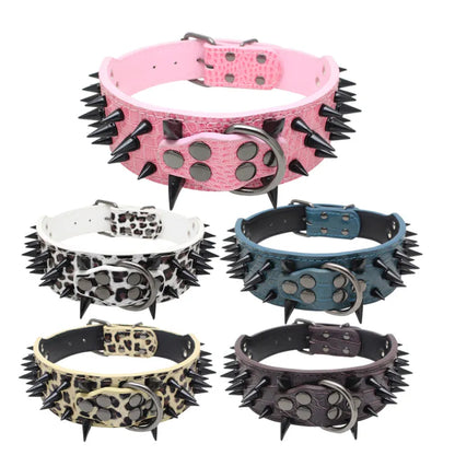 Robustes Hundehalsband mit Goldnieten – Verstellbar &amp; Stark