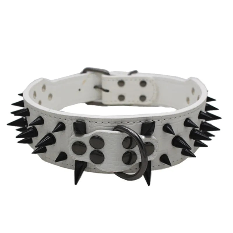 Robustes Hundehalsband mit Goldnieten – Verstellbar &amp; Stark