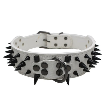 Robustes Hundehalsband mit Goldnieten – Verstellbar &amp; Stark