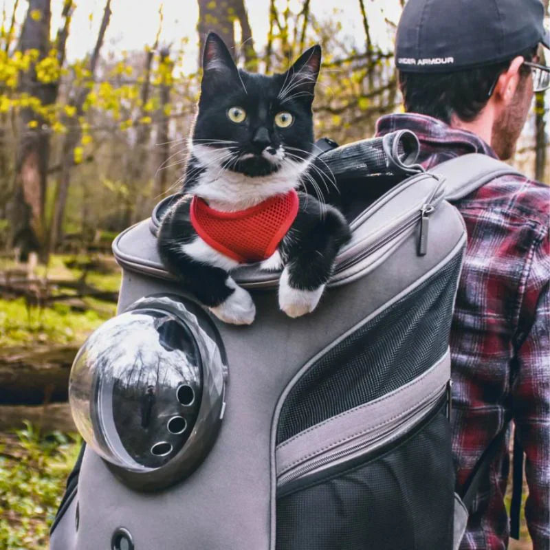 Katzen Transporttasche - Ergonomisch und Belüftet - Komfort für Reisen