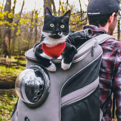 Katzen Transporttasche - Ergonomisch und Belüftet - Komfort für Reisen