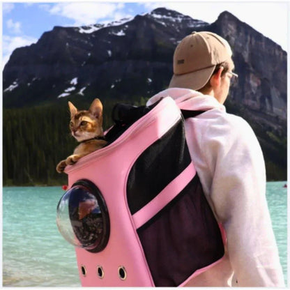 Katzen Transporttasche - Ergonomisch und Belüftet - Komfort für Reisen