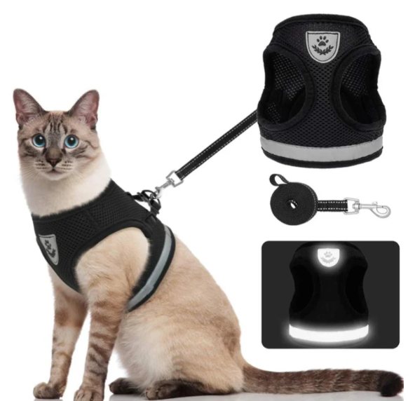 Katzengeschirr mit Leine – Sicherheit &amp; Komfort vereint