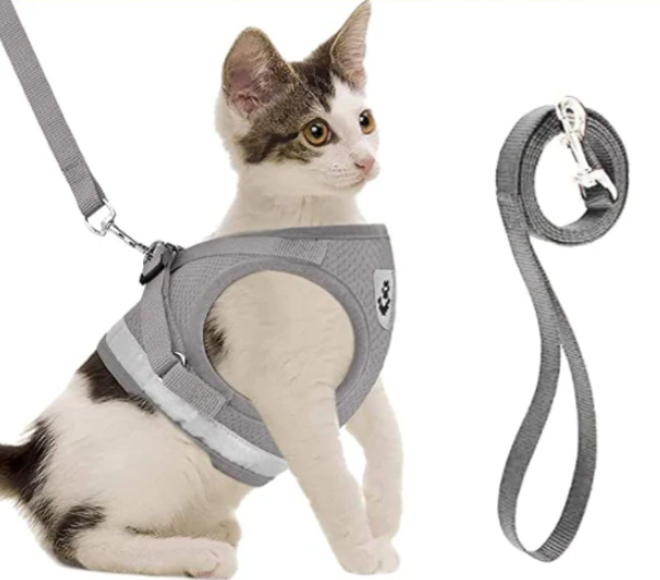 Katzengeschirr mit Leine – Sicherheit &amp; Komfort vereint