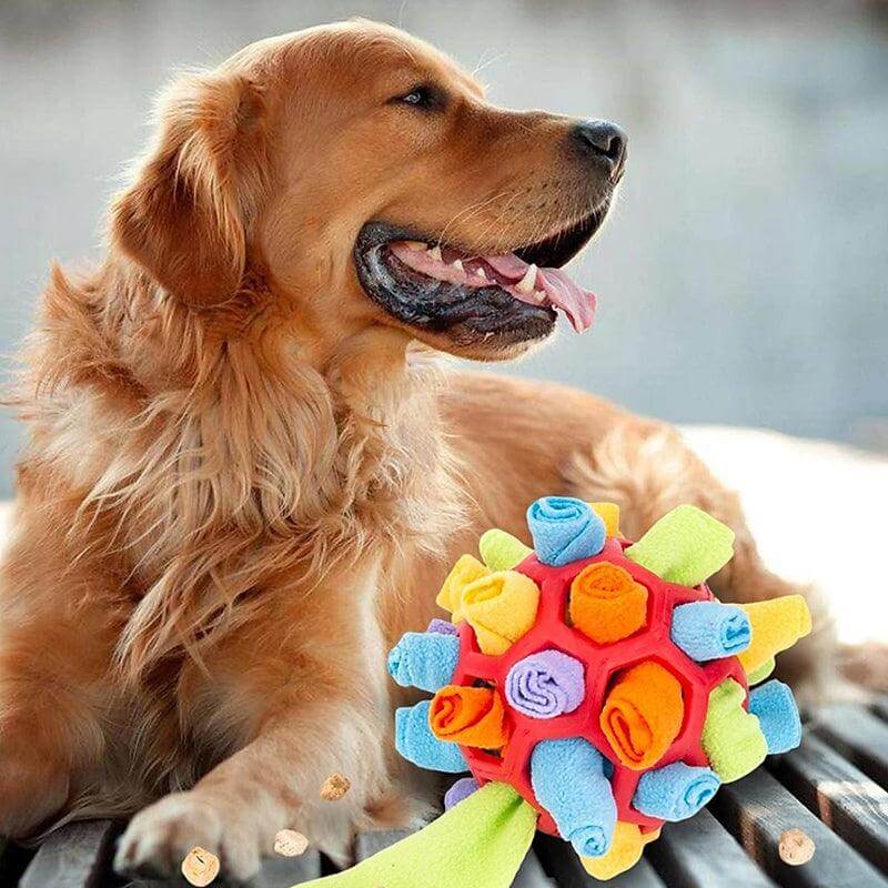 Intelligenzspielzeug für Hunde Schnüffelteppich