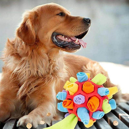 Intelligenzspielzeug für Hunde Schnüffelteppich
