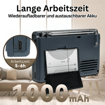 Zelara Multiband-Radio mit Aufnahmefunktion