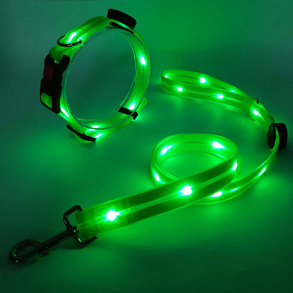 LED Hundehalsband mit Leine - Sicher &amp; Sichtbar