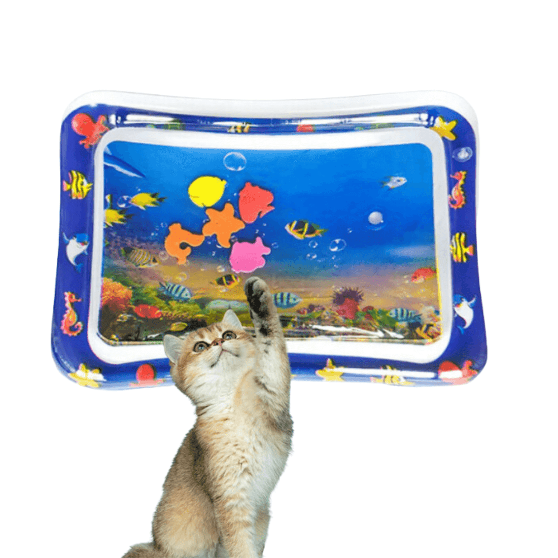 Interaktive Wasserspielmatte für Katzen