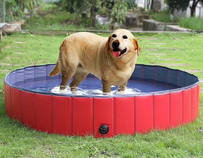 Faltbarer Hunde-Pool - Garten &amp; Outdoor | Robust &amp; Transportabel