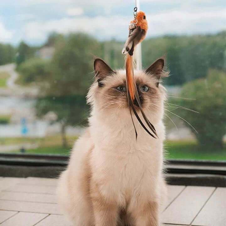 Interaktives Katzenspielzeug - Federnder Vogel