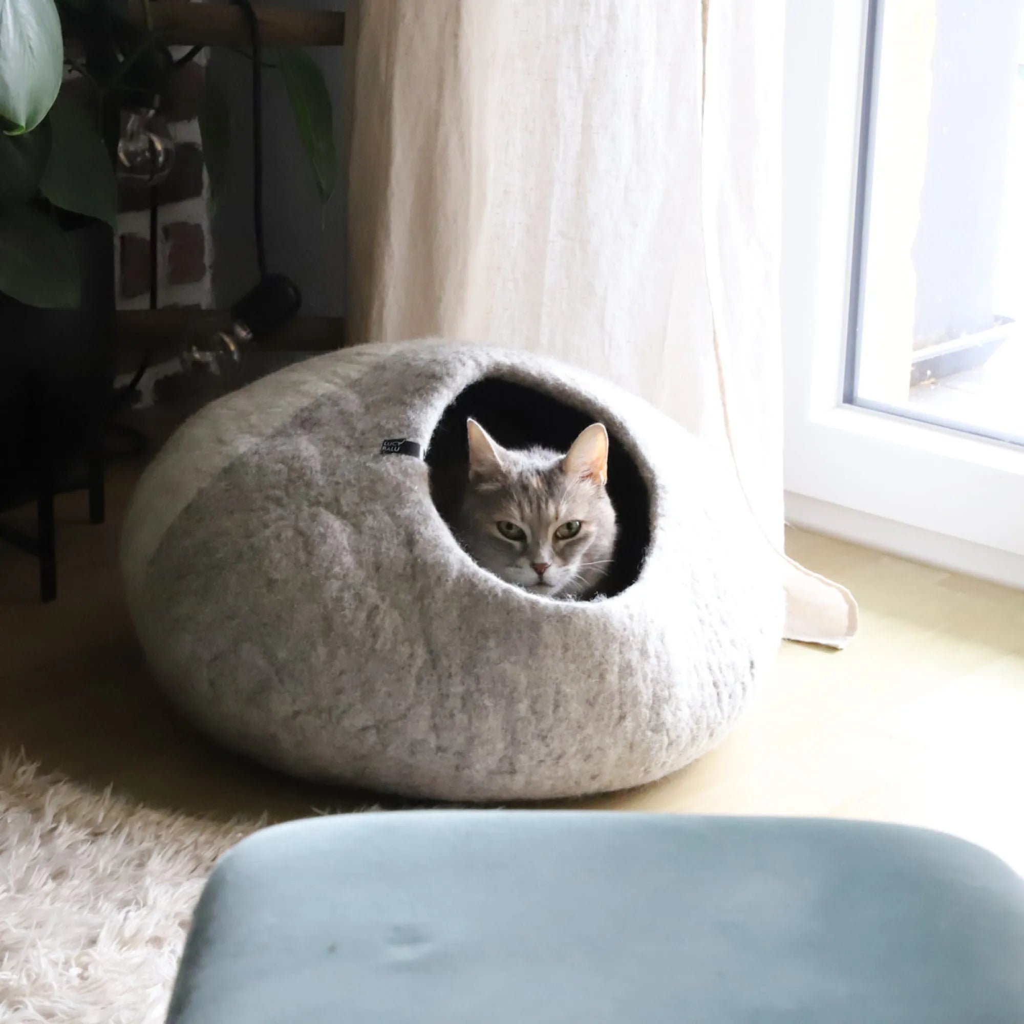 Katzenhöhle aus Filz | Kuschelige Schlafhöhle für Katzen