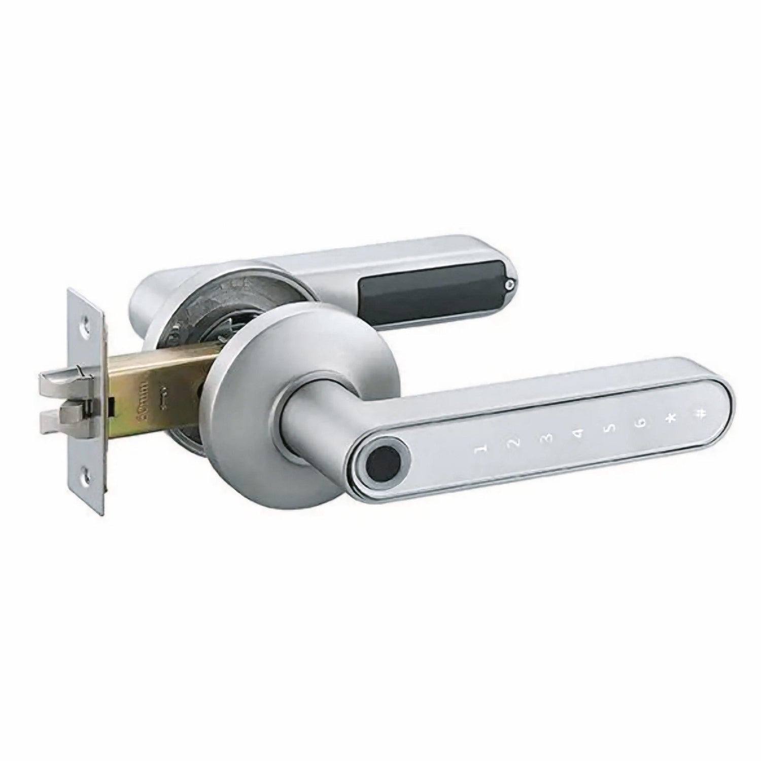 Intelligentes digitales Fingerabdruck-Türschloss mit App-Steuerung, Passcode &amp; DIY-Installation