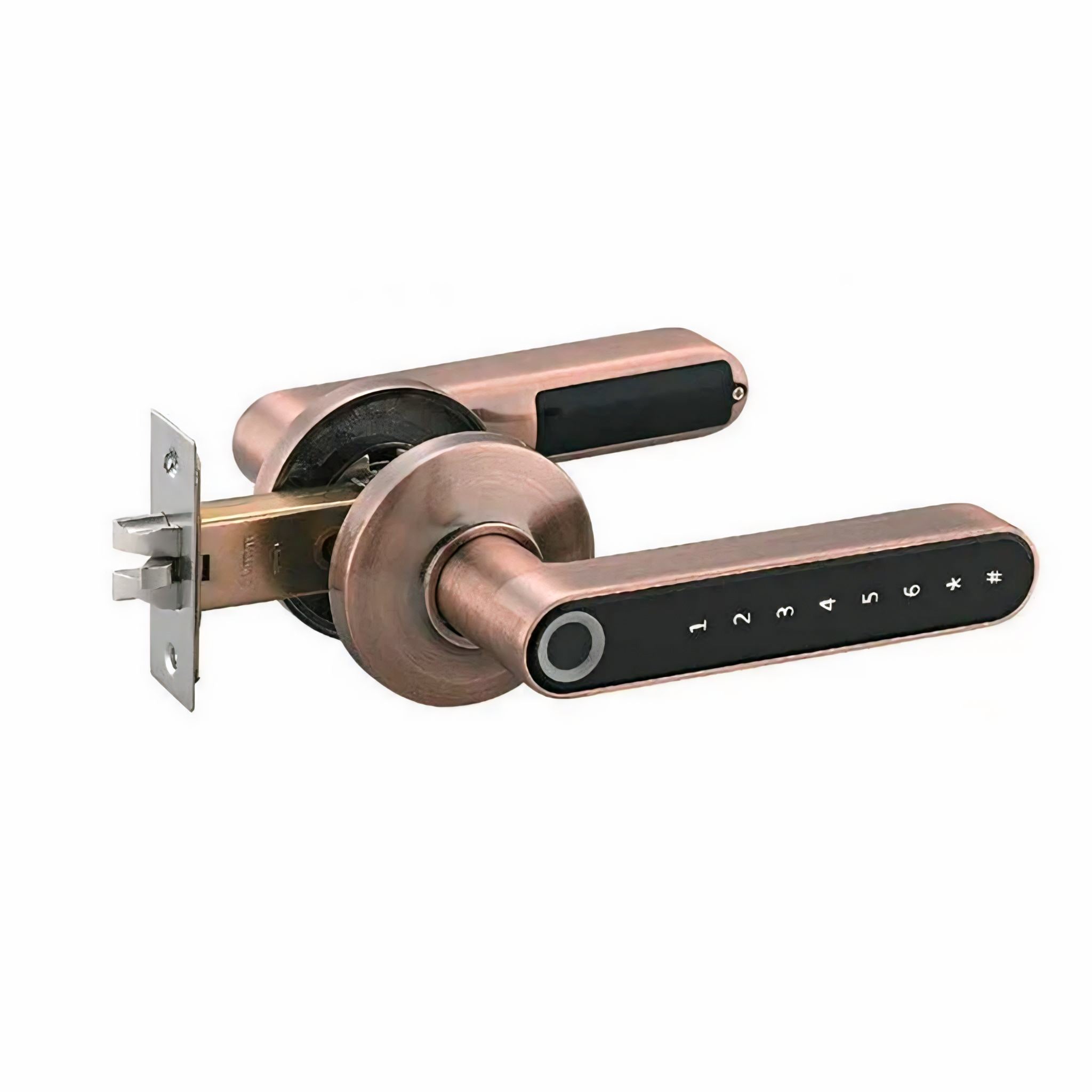 Intelligentes digitales Fingerabdruck-Türschloss mit App-Steuerung, Passcode &amp; DIY-Installation