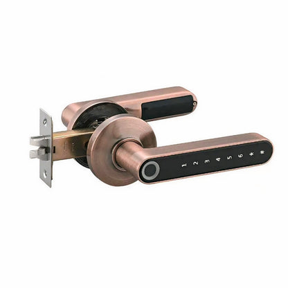 Intelligentes digitales Fingerabdruck-Türschloss mit App-Steuerung, Passcode &amp; DIY-Installation