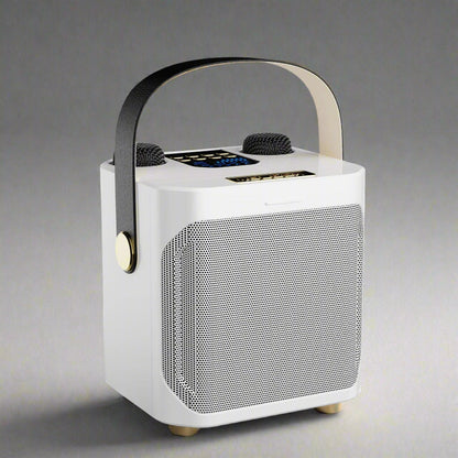 Hochleistungs tragbarer Bluetooth Karaoke Lautsprecher mit wiederaufladbarem Akku für den Innen- und Außenbereich