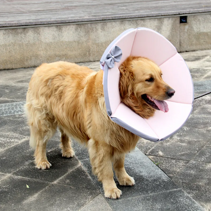 Schutzkragen für Hunde - Komfort und Stil nach OP | Gelb-Braun