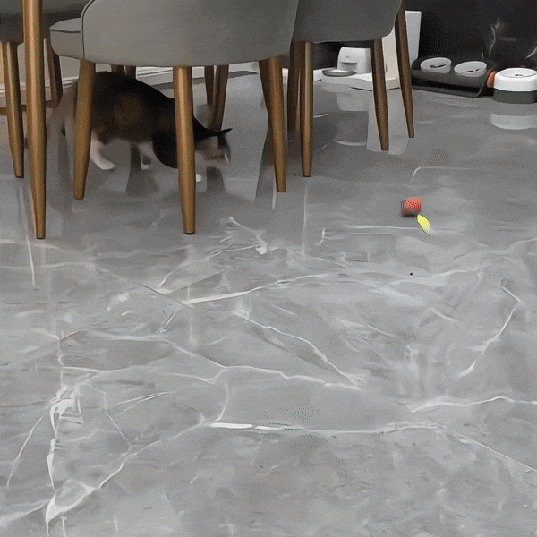 Elektrisches Katzenspielzeug | mit Akku &amp; Jagdbewegungen