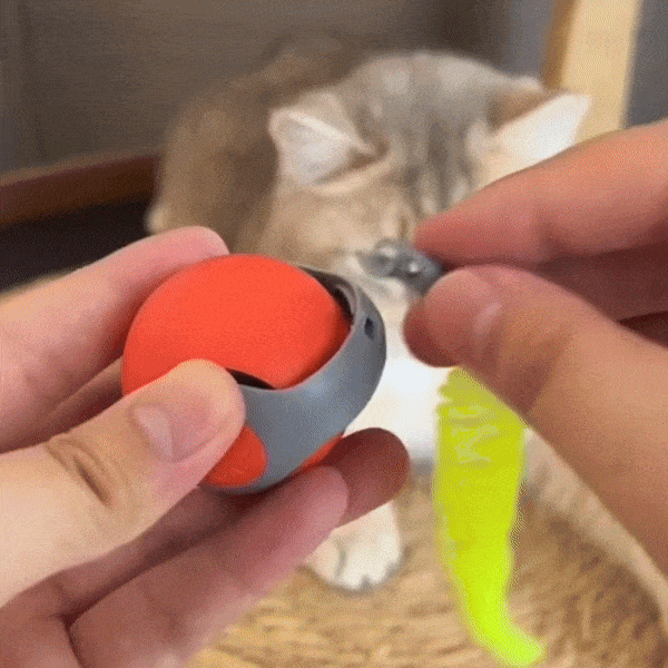 Elektrisches Katzenspielzeug | mit Akku &amp; Jagdbewegungen